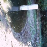 imag0364